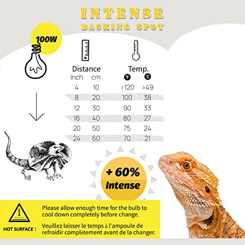 Dual Dome and Intense Basking Spot, Reptile Light Fixture and Heat Lamp Bulb, Ideal for Reptiles Bearded Dragon