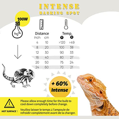 Dual Dome and Intense Basking Spot, Reptile Light Fixture and Heat Lamp Bulb, Ideal for Reptiles Bearded Dragon