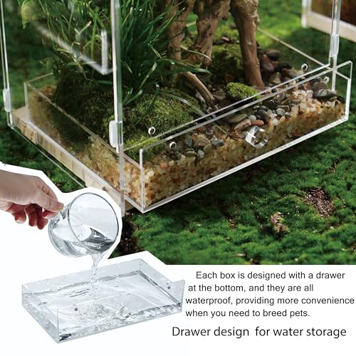 Acrylic Clear Reptile Habitat Enclosure Terrarium with Latch ，Perfect for Amphibians and Invertebrates Such as Spiders, Frogs, etc (Vertical Wood Large)