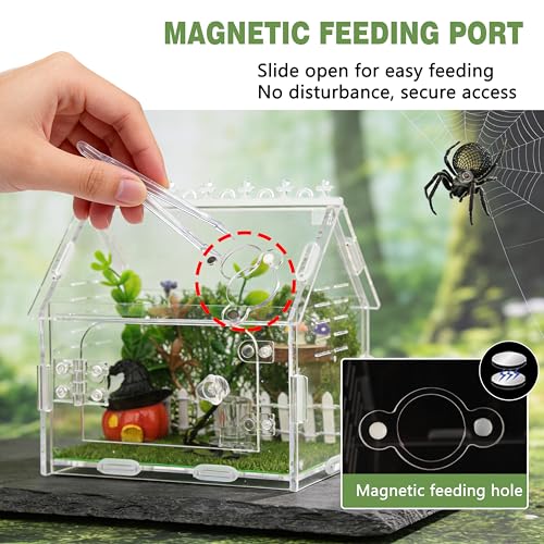 Magnetic Acrylic Spider Enclosure Kit - 5.9"x3.9"x5.1" Escape-Proof Terrarium for Jumping Spiders, Tarantulas & Mantis with Secure Magnetic Door & Ventilation - size: 5.9" x3.9 "x5.1"