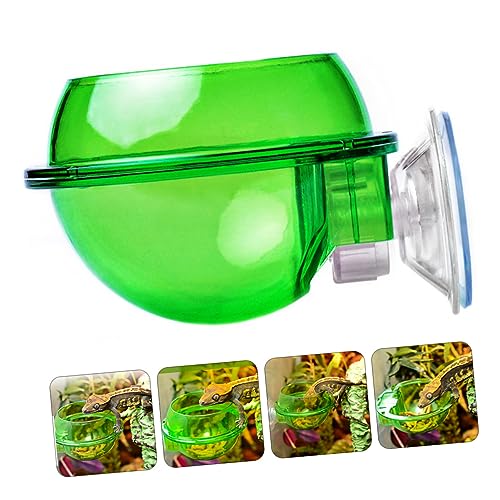 balacoo 4pcs Reptile Feeder Bowl with Cup Dragon Beard Basin for Lizard Gecko Escape Dish for Easy Feeding Design for