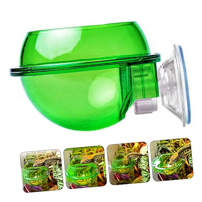 balacoo 4pcs Reptile Feeder Bowl with Cup Dragon Beard Basin for Lizard Gecko Escape Dish for Easy Feeding Design for
