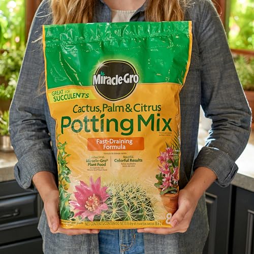 Miracle-Gro Cactus, Palm and Citrus Potting Mix, For Indoor or Outdoor Container Plants, Great for Succulents, 8 qt., 3-Pack - style: Potting Mix 3 Pack