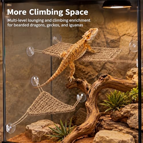 Dansydaisy 4 Pcs Bearded Dragon Reptile Hammock Small Set, Woven Lounger with Strong Suction Cups, Includes 2 Rectangle (19.7" x 7.9") and 2 Triangle (7.9" x 11.0") Climbing Beds for Geckos Iguanas - size: 19.7" X 7.9"，7.9" X 11.0"