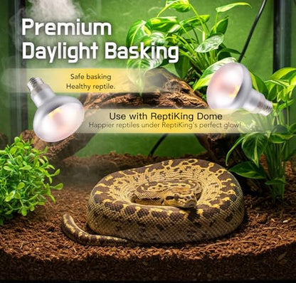 Reptile Heat Lamp, 100W 2-Pack Incandescent Basking Spotlight Bulbs for Reptiles Terrarium Tanks, Reptile Heat Bulb for Infrared Light, Bearded Dragon Heat Bulbs (100W)