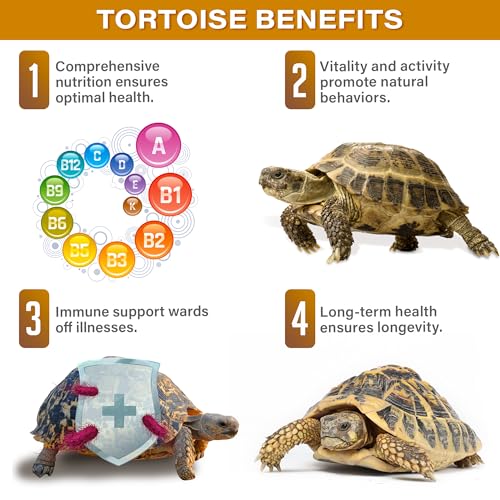 Gargeer Grassland Tortoise Multivitamin & Mineral Powder 3 oz, High Fiber Supplement with Probiotics, Calcium & Vitamins for Sulcata, Russian, Hermann's & Leopard Tortoises. Made in the USA. Enjoy!