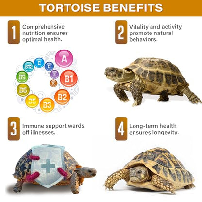 Gargeer Grassland Tortoise Multivitamin & Mineral Powder 3 oz, High Fiber Supplement with Probiotics, Calcium & Vitamins for Sulcata, Russian, Hermann's & Leopard Tortoises. Made in the USA. Enjoy!