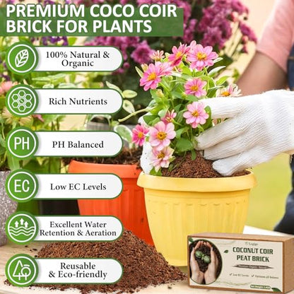 Legigo 6 Pack Premium Coco Coir Brick for Plants- 100% Organic Compressed Coconut Coir Bricks Starting Mix, Coco Coir Fiber Coconut Husk for Planting, Gardening, Potting Soil Substrate, Herbs - color: Pack of 6