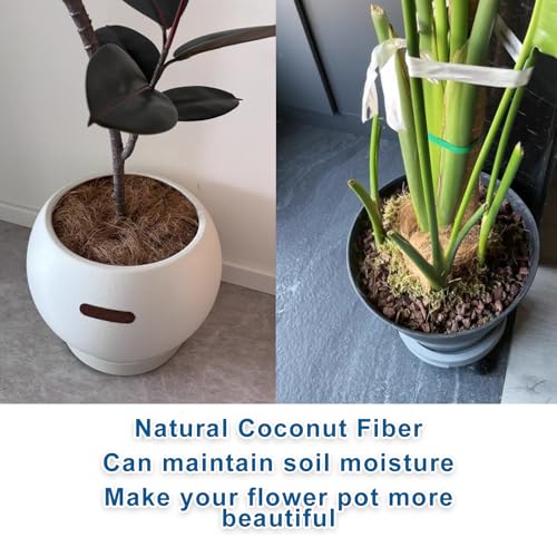 Long Coconut Husk Fiber Mulch Silk for Orchids Clean Coconut Shell Moss Covering 0.66 Pounds - size: 300 grams/0.66 pounds