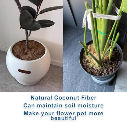 Long Coconut Husk Fiber Mulch Silk for Orchids Clean Coconut Shell Moss Covering 0.66 Pounds - size: 300 grams/0.66 pounds