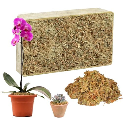 Hourleey 5.3 oz Sphagnum Moss for Plants, Premium Natural Long Fibered Dried Moss Potting, Sphagnum Peat Moss Bulk for Orchids Succulent Carnivorous Potted Plant Reptiles Medium Sarracenia