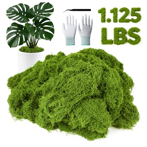 MGLIFEUL 1.125 LBS Artificial Fake Moss for Crafts Plants Indoor with Non-Stick Gloves and Tweezers，Preserved Green Plant Faux Craft Moss Musgo for Fairy Garden Outdoor Home Decorating Model Making - color: Light Green, size: 1.125 LBS