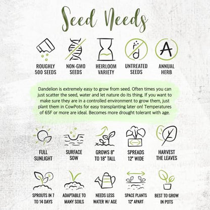 Seed Needs Dandelion Seeds to Plant Heirloom & Non-GMO Herbs 5 Packs - size: 5 Packs, style: Common Dandelion