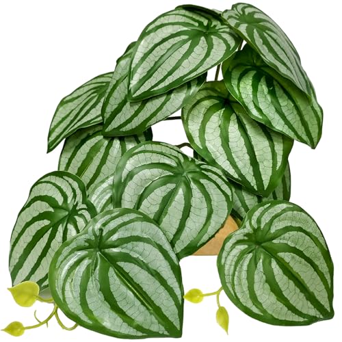 Woyrise Reptile Plants for Terrarium Decor, Ball Python Tank Accessories fit Bearded Dragon Crested Leopard Gecko Lizard Chameleon Snake Frog Tortoise Hermit Crab - Fake Calathea Orbifolia - color: D-fake Calathea Orbifolia