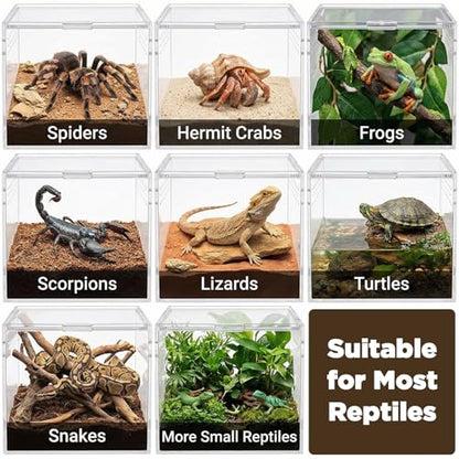 6 Pcs Spider Micro Water Bowls, Tarantula Enclosure Accessories, Mini Resin Dish for Tarantula, Spider, Millipede and Tiny Reptiles, Small Reptile Food Dish Bowl (1.65" D, 0.59" H)