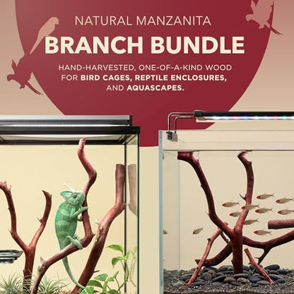 Manzanita Driftwood for Medium Aquariums & Reptile Tanks (13-17”") 10–30 Gallon Tank | Natural Aquascaping & Terrarium Decor | Hardwood Branches, Unique Shapes | Community Fish, Gecko, Bearded Dragon - size: Medium