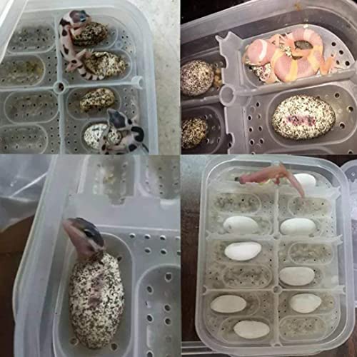 12 Grids Reptile Breeding Box, Incubator Egg Tray Hatching Box with 12 Grids for Turtle, Gecko, Lizards, Mane