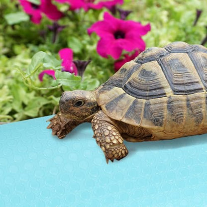 Soft Reptile Carpet Mat for Bearded Dragon Snake Gecko Tortoise Terrarium Substrate Liner Washable Fit Reptile Tank Bedding Accessories