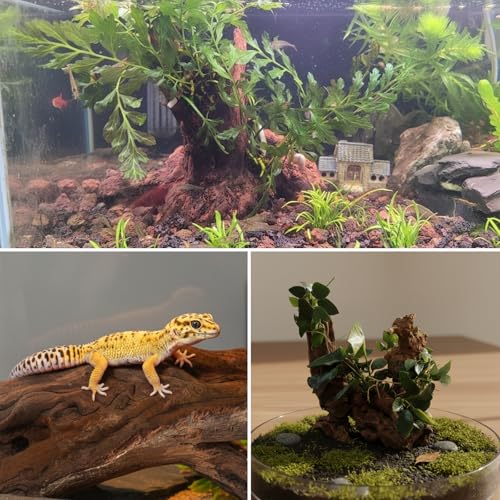 2pcs emours Natural Mopani Wood Fish Tank Decor Aquarium Driftwood Terrarium Wood, 11-16 in - size: Medium (12–16 in / 30–40 cm)