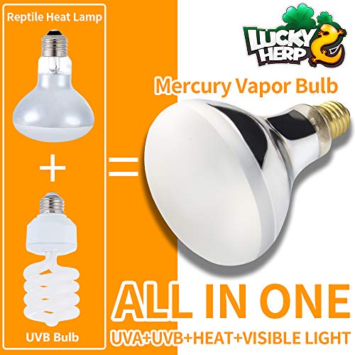 LUCKY HERP 125 Watt UVA+UVB Vapor Heat Lamp Bulb, High Intensity Self-Ballasted Heat Basking Lamp/Bulb/Light for Reptile and Amphibian, Sun Lamp for Bearded Dragon Lizard Turtle - size: 125
