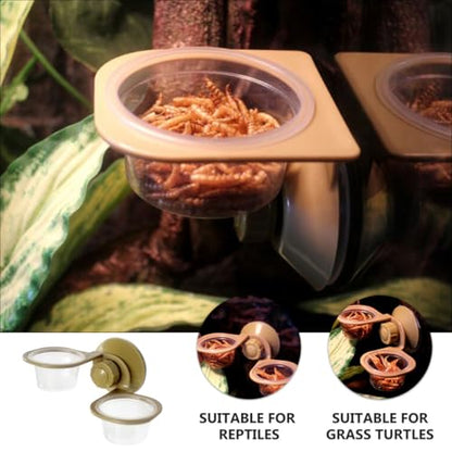 BESPORTBLE 2pcs Reptile Food Basin Suction Cup Feeder Accessories Set with Single and Double Bowls for Lizards and Amphibians Terrarium Feeding