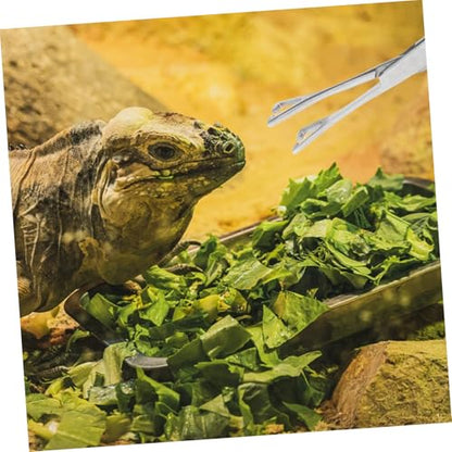 VICASKY Stainless Steel Reptile Feeding Tongs Long Tweezers Clamp for Snakes Lizards and Aquatic Plants Ergonomic Aquarium Feeding Tool for Bearded Dragons and Geckos