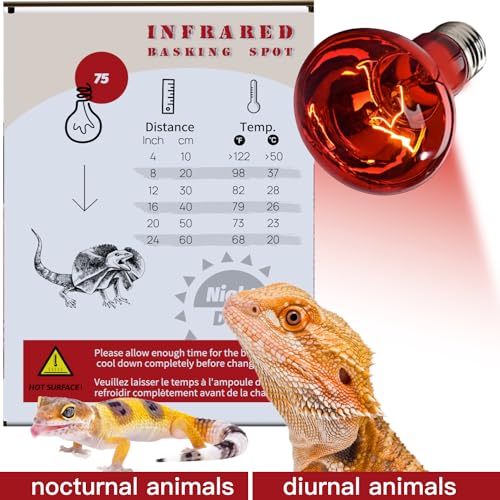 Reptile Red Heat Lamp, 2-Pack 75W Infrared Basking Bulbs Light for Reptiles, Night Red Basking Light for Bearded Dragon, Lizard, Gecko,Turtle Tank Accessories - color: 2-pack Night Heat Bulb
