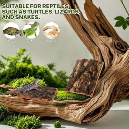 SOIMISS 5 Pcs Reptile Tank Background Cork Bark Sheets for Terrarium Tree Bark Decor Hide Log for Gecko Bearded Dragon Turtle and Lizard Enclosures 5.90 X 5.90 X 0.78 in
