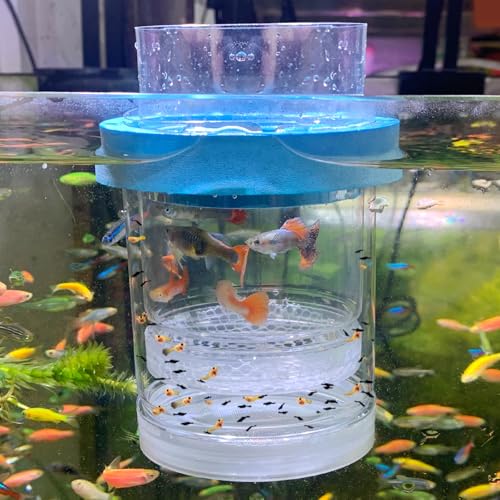 middlefloatingbreederbox Breeder Box for Fish Tank Isolation Aquarium Separator Hatchery Incubator for Guppy Baby Betta Saltwater Clownfish Coral Aggressive or Injured Fish (Middle Two-Piece Set) - size: Middle Two-Piece Set