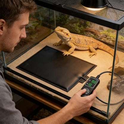 Reptile Heating Pad - PVC 20x45cm | Terrarium Under Tank Heater | for Hermit Crab Snake, Turtle Lizard, Frog Spider, and Other Reptiles Safe Environment All Cold-Blooded Companions. - color: Aqua
