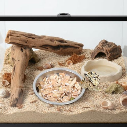 4 Pack Hermit Crab Food and Water Bowl, Small Stainless Steel Reptile Feeding Dish Bowl Mini Feeding Dishes for Hermit Crab Lizard Gecko Bearded Dragon Chameleon (2" W x 2" D x 0.4" H)