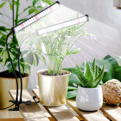 GooingTop Grow Light 100W 6000K, Super Bright White Desktop Clip Plant Lamp for Seedlings Succulents Seeds Starting Indoor Plants Growing,Bendable Gooseneck & Timer 4 8 12 H - size: 100Watts
