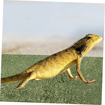 ORFOFE Artificial Lawn Mat for Reptile Box Snake Habitat Accessories Moss Terrarium Decor Gecko Tank Pad Lizard Tank Accessories Double-Sided Water Absorption