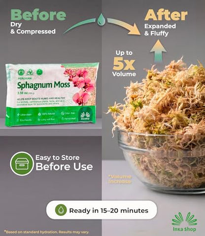 Long Fiber Sphagnum Moss for Indoor Plants Peruvian Orchid Moss Ultra Clean Odor Free Fast Expanding Moisture Retention Airy Drainage for Aroids Carnivorous Plants Terrarium Reptile Bedding (3.5oz) - size: 3.5oz