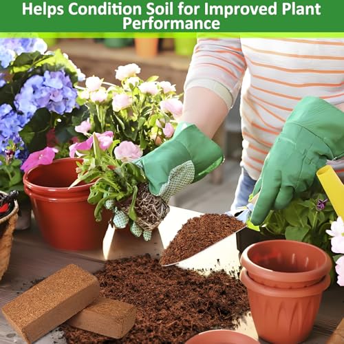 Legigo 12 Pack Premium Coco Coir Brick for Plants- 100% Organic Compressed Coconut Coir Bricks Starting Mix, Coco Coir Fiber Coconut Husk for Planting, Gardening, Potting Soil Substrate, Herbs - color: Pack of 12
