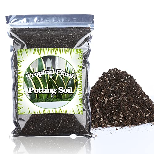 Doter Houseplant Potting Mix 2qt, Fertilized, Perlite Soil for All Types of Indoor House Plants and Tropical Plant - size: 2qt