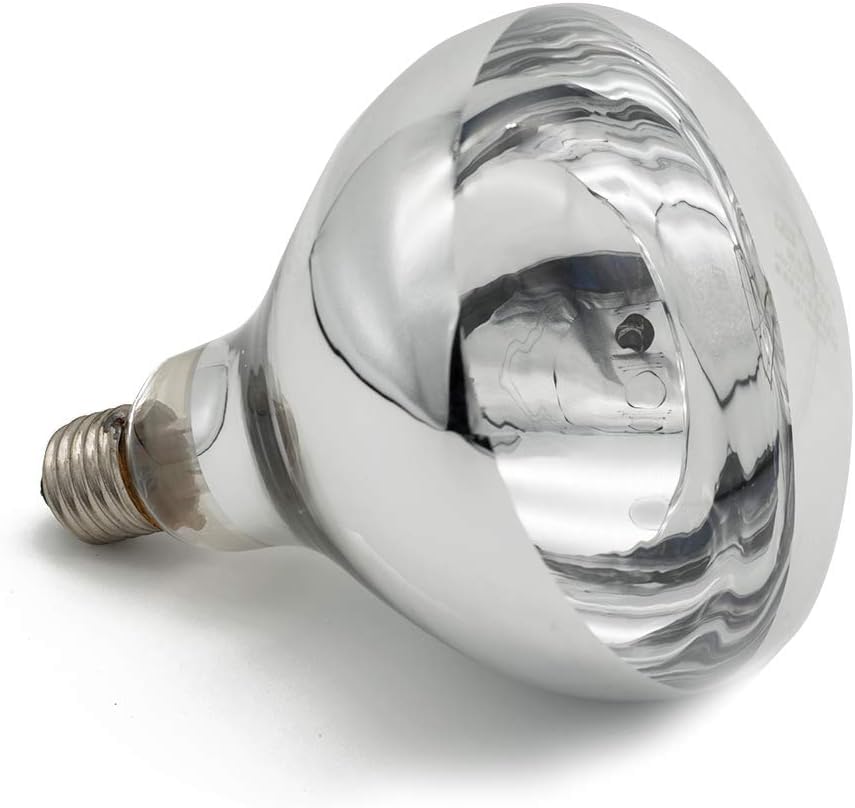 250 Watt R40 Clear Heat Lamp Bulb – Infrared Flood Reflector Light, Incandescent Spotlight for Food Warmer, Brooder, Chicken Coop, Pet Heating, Bathroom, Light Therapy – E26 Base (1, Clear) - color: Clear