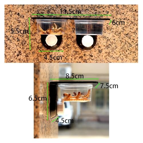 Reptile Tank Accessories Insect Spider Ants Nest Snake Gecko Food Water Feeding Bowl Terrarium Breeding Feeders Box Pets Supplie(Single bo) - color: Single bo