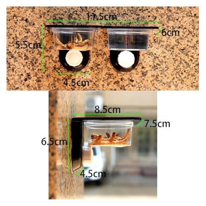 Reptile Tank Accessories Insect Spider Ants Nest Snake Gecko Food Water Feeding Bowl Terrarium Breeding Feeders Box Pets Supplie(Single bo) - color: Single bo