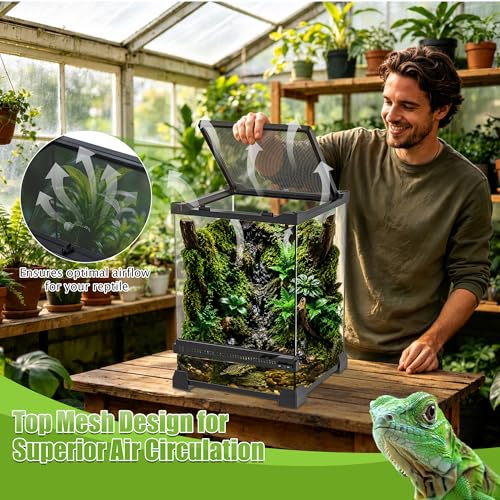 Reptile Terrarium 10"x10"x14", Full Glass Tank Enclosure for Small Reptiles, Geckos, Frogs, Lizards, Snakes, Spiders, Turtles, Vertical Rainforest Habitat - size: 10" x 10" x 14"