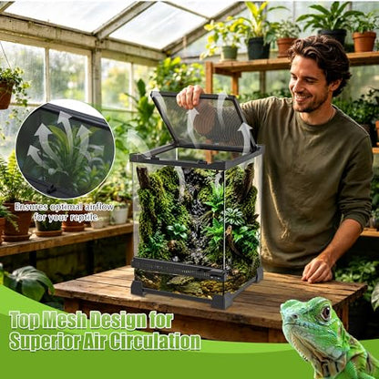 Reptile Terrarium 10"x10"x14", Full Glass Tank Enclosure for Small Reptiles, Geckos, Frogs, Lizards, Snakes, Spiders, Turtles, Vertical Rainforest Habitat - size: 10" x 10" x 14"