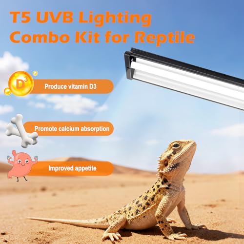 T5 UVB Reptile Light Fixture Combo Kit 8W 10.0 – Complete HO UVB Light for Reptiles with 12.44" Terrarium Hood, Desert UVB Bulb for Bearded Dragon Gecko Tortoise Lizard – Easy to Install and Use - size: 10.0-12.44 in