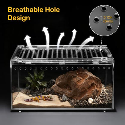 XLarge Reptile Terrarium Kit,Escape Proof Tarantula Enclosure,PC Starter Hermit Crab Tank,Spider Habitat for Praying Mantis Cage,Insect Housing,Lizard,Gecko Container,Bearded Dragon Vivarium - size: XLarge(15.7*9.8x7.8inch)