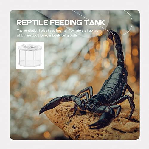 Box Insect Display Containers Reptiles Breeding Container Pet Supply Reptile -Escape Case Showing Case Clear Habitat Crawling Pet Holder Breeding Cage