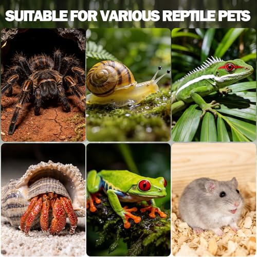 No Assembly 3mm Thick Acrylic Jumping Spider Enclosure,Magnetic Closure Front Door & 3-Side Ventilation, with Tweezers & Thermometer Strips,Ideal for Reptile Tank,Snail,Insect, and Tarantula Habitat - size: Habitat+Tweezers+Temperature strip