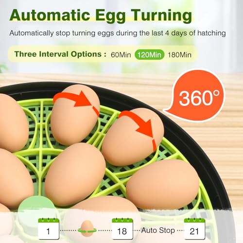 18 Chicken Egg Incubator with Temperature Control, Humidity Display, Auto Egg Turner, Egg Candler, 2 Size Egg Trays, Chick Incubaotrs for Hatching Eggs Digital Incubator for Chicken, Duck Eggs - style: 18 Eggs