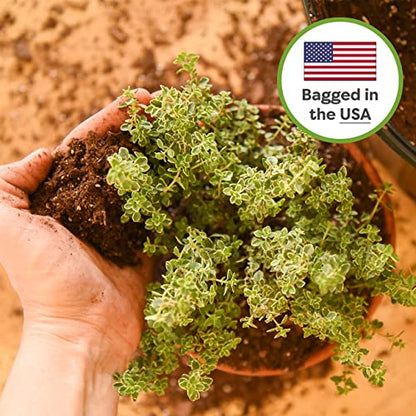 Perfect Plants Indoor Plant Soil 8qt | Perfectly Balanced Potting Mix | Gardening Substrate for All Varieties of Live houseplants - size: 8qts.