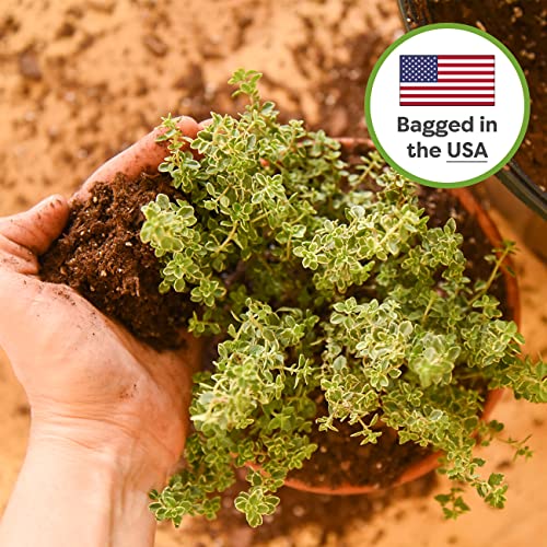 Perfect Plants Indoor Plant Soil 8qt | Perfectly Balanced Potting Mix | Gardening Substrate for All Varieties of Live houseplants (Pack of 2) - size: 8qts. (Pack of 2)