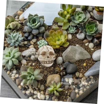 Luxshiny 20pcs Resin Skull Figurines Miniature Skull Aquarium Decor for Garden Flower Pot and Terrarium Halloween Outdoor Tabletop Decoration