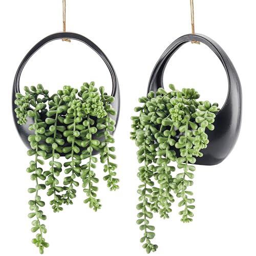 Der Rose 2 Pack Small Fake Hanging Plants with Strings Artificial Succulent Plants Indoor for Black Bathroom Boho Wall Decor - color: Black
